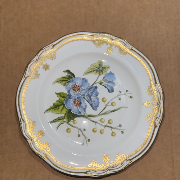 STAFFORD FLOWERS by SPODE - SPODE OF SHADES - Picture 3 of 4
